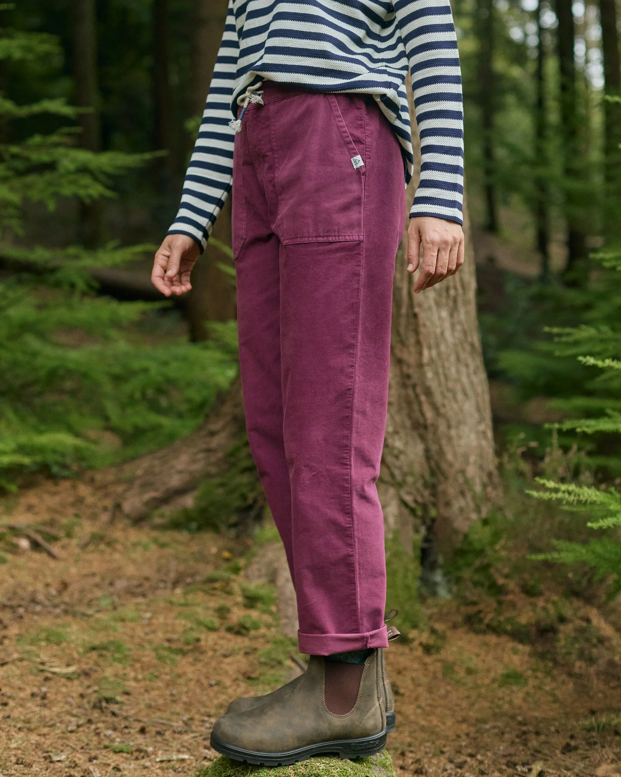 Avian Cord Trouser - Fig - Image 3