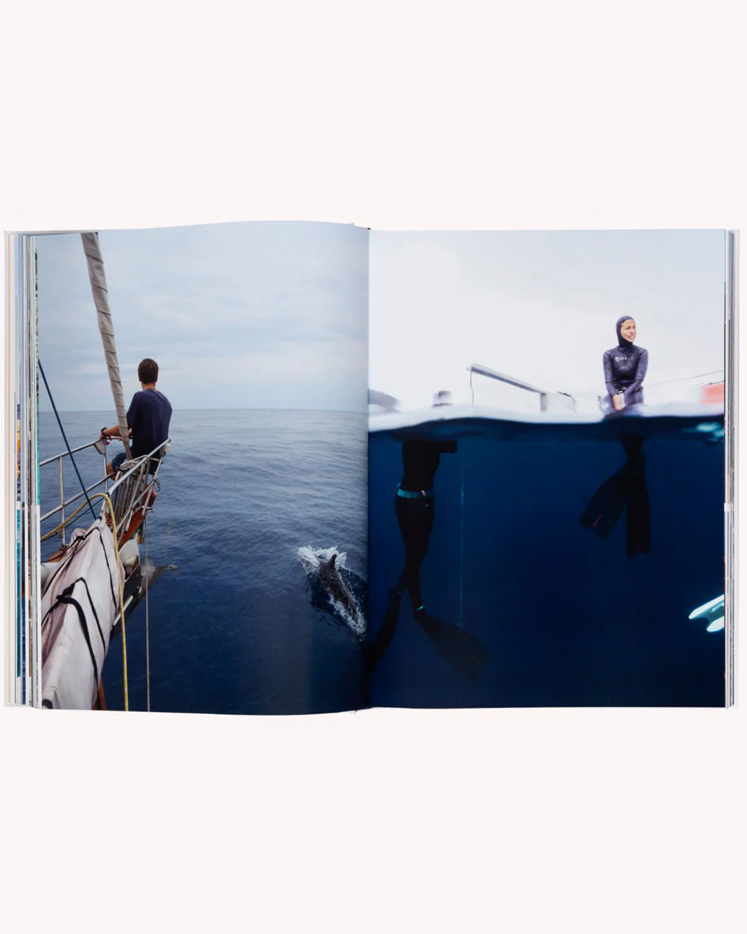 Boatlife - Image 3