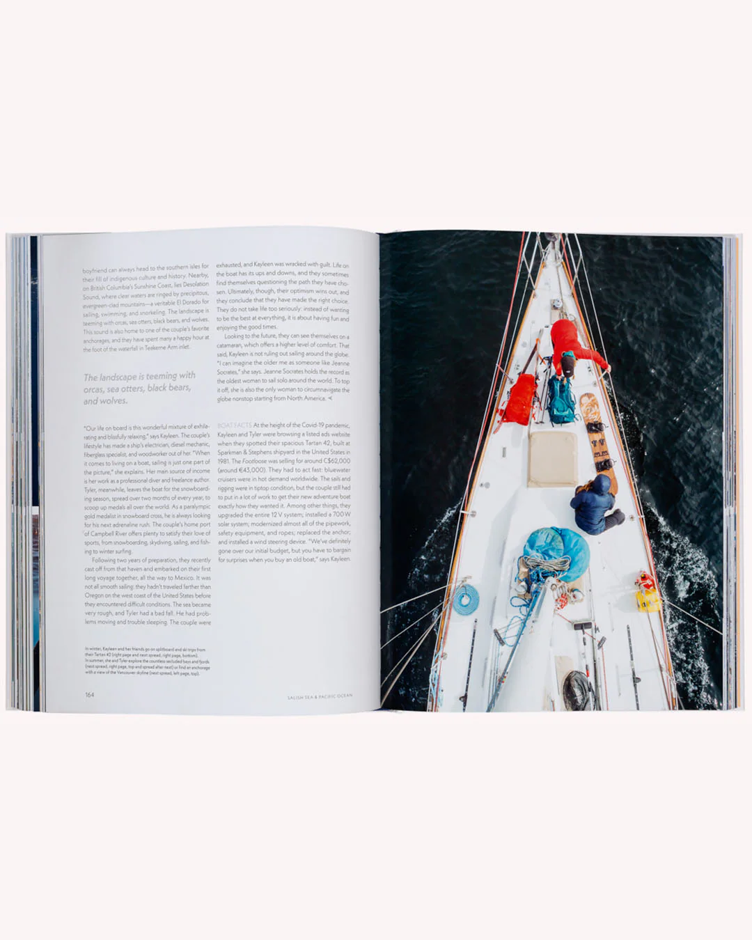 Boatlife - Image 5
