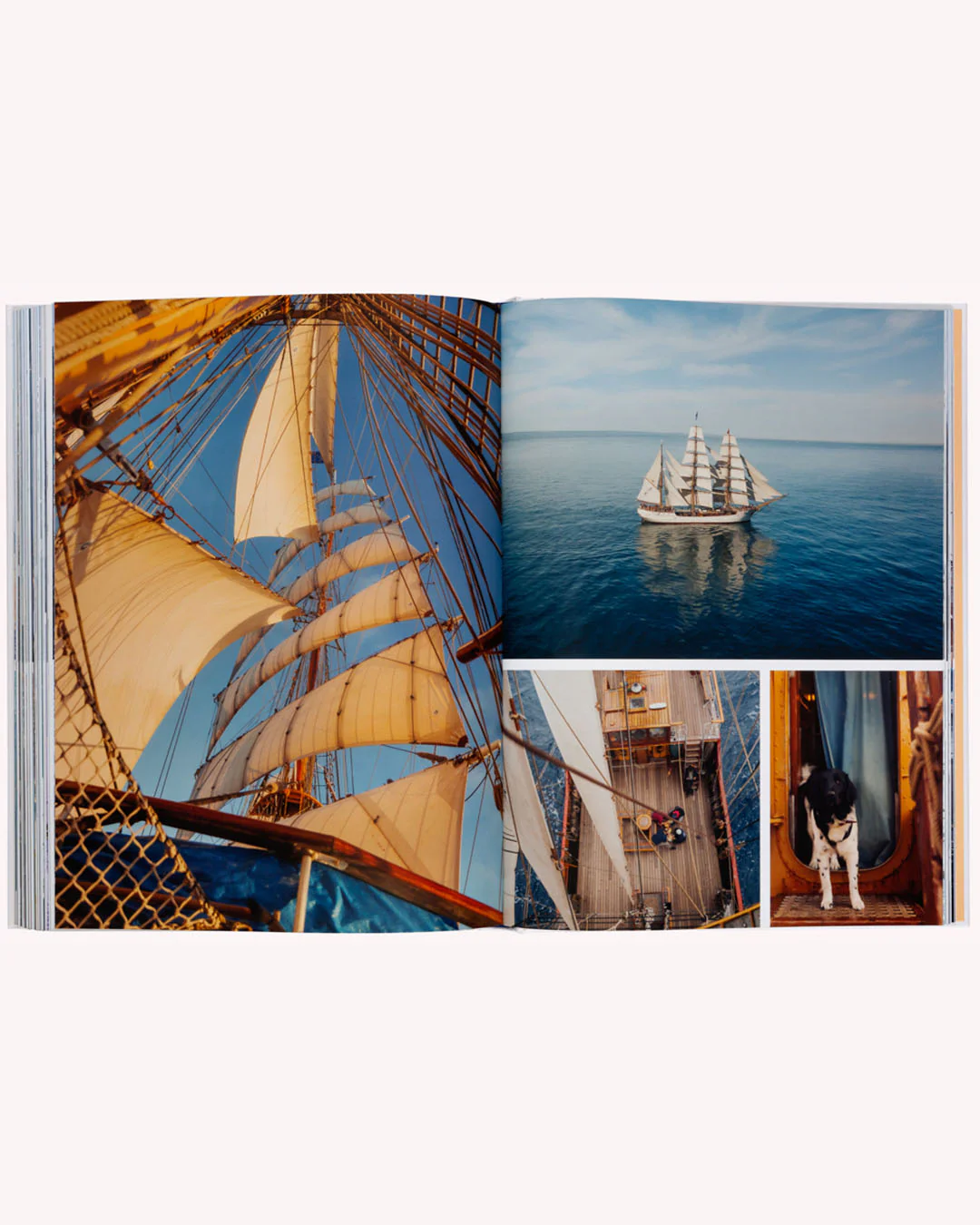 Boatlife - Image 8