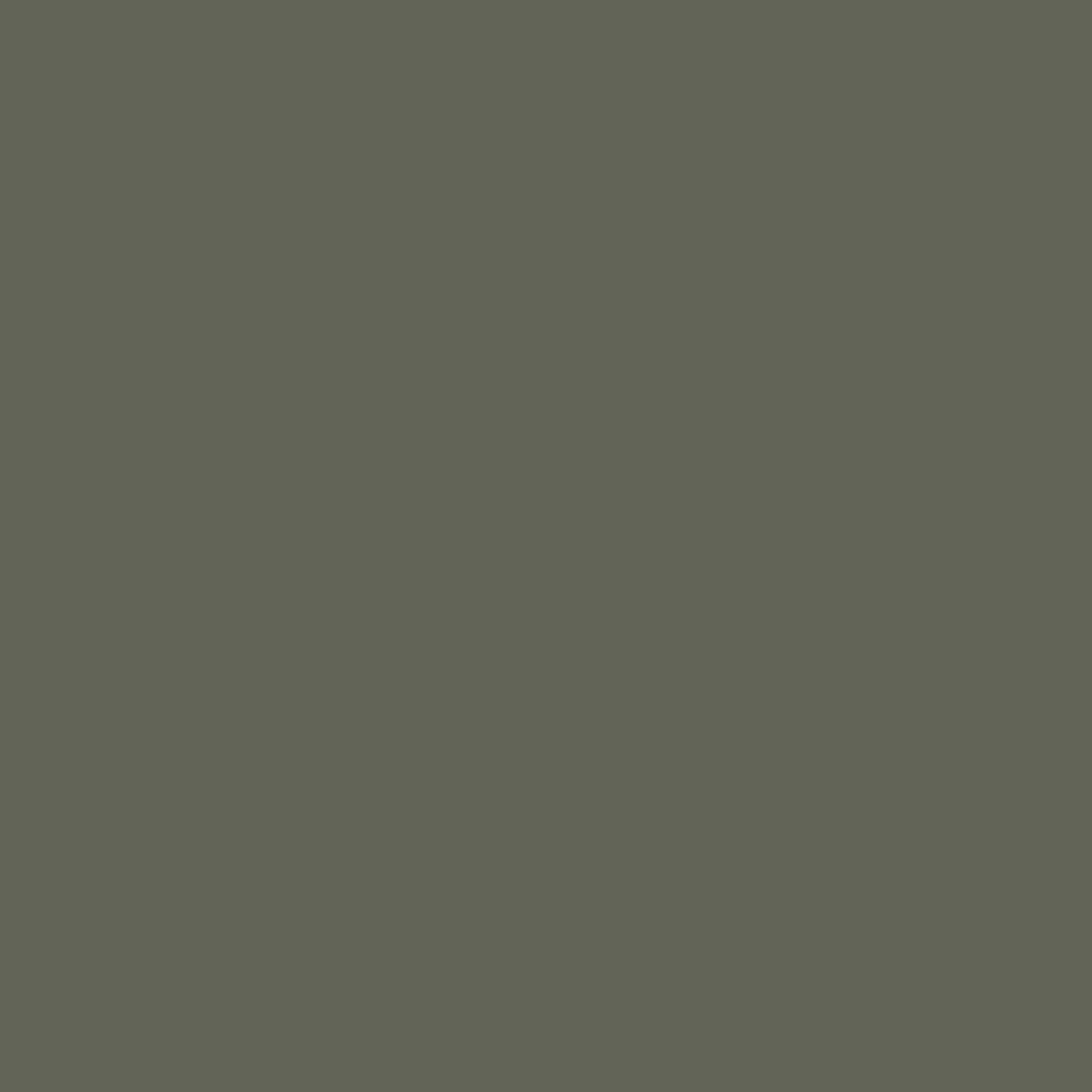 Drifter Corduroy Short - Dusty Olive - Image 6