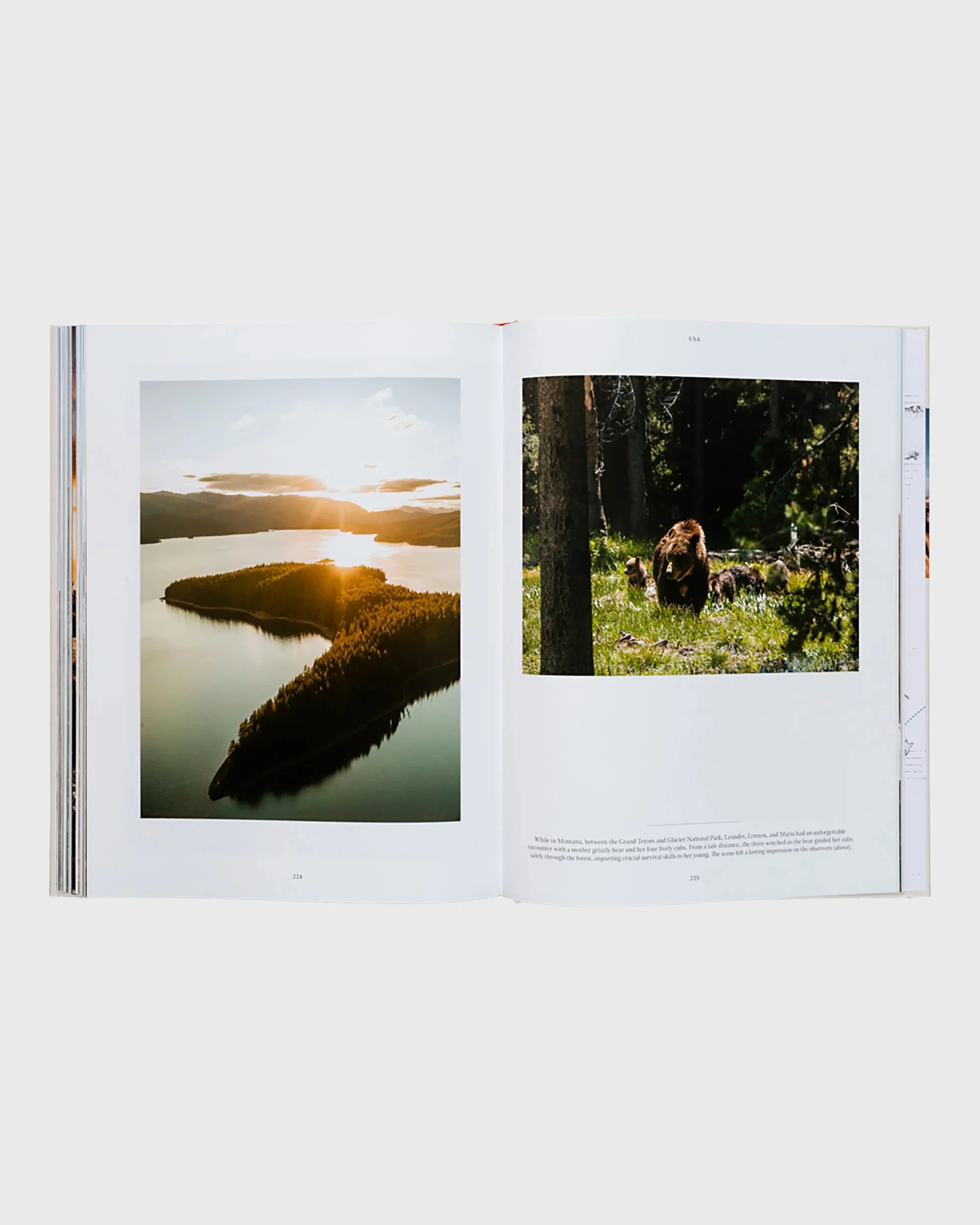Life on the Road - Image 9