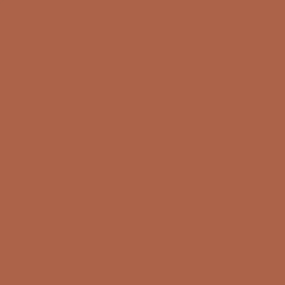 Oar LS T-Shirt - Burnt Orange - Image 6