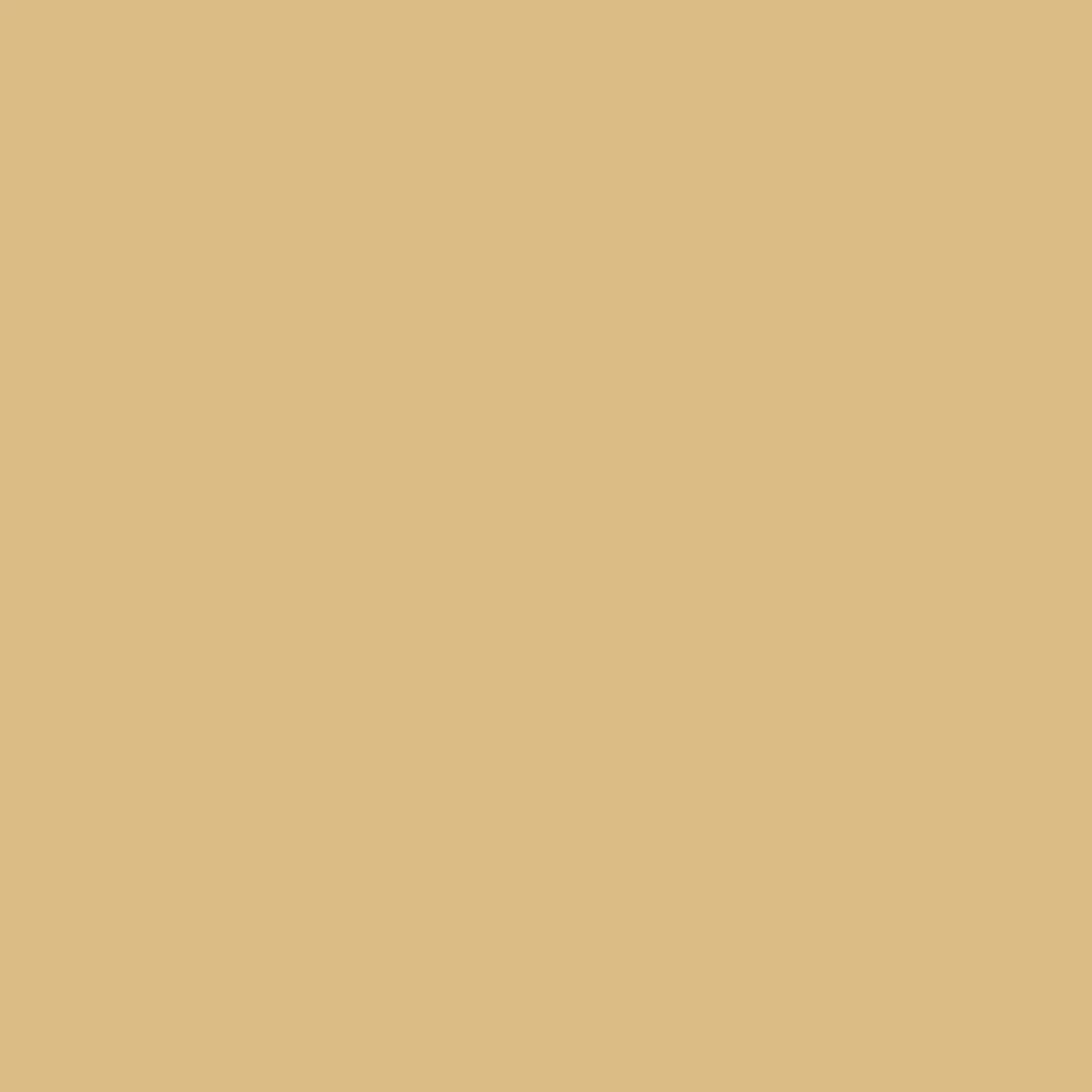 Ray Recycled Cord LS Shirt - Jojoba - Image 7