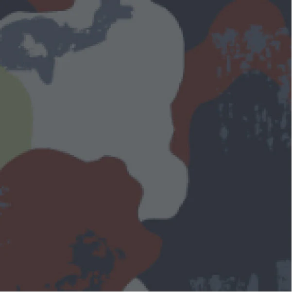 Roamer 2.0 Insulated Jacket - Sycamore Pattern - Image 7