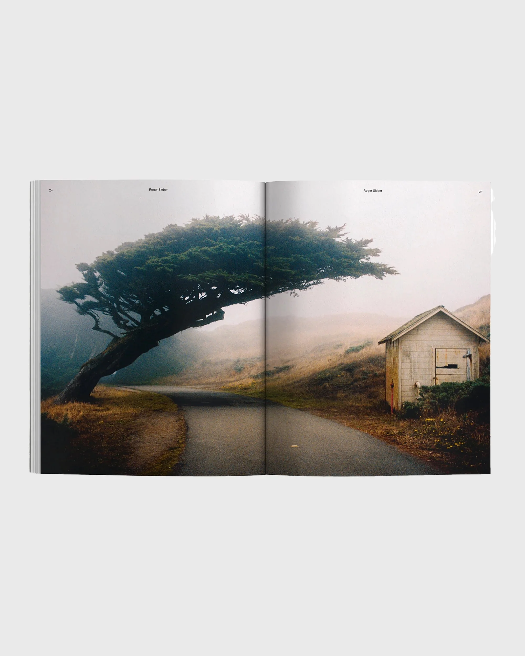 Waves & Woods Issue 39 - Image 2